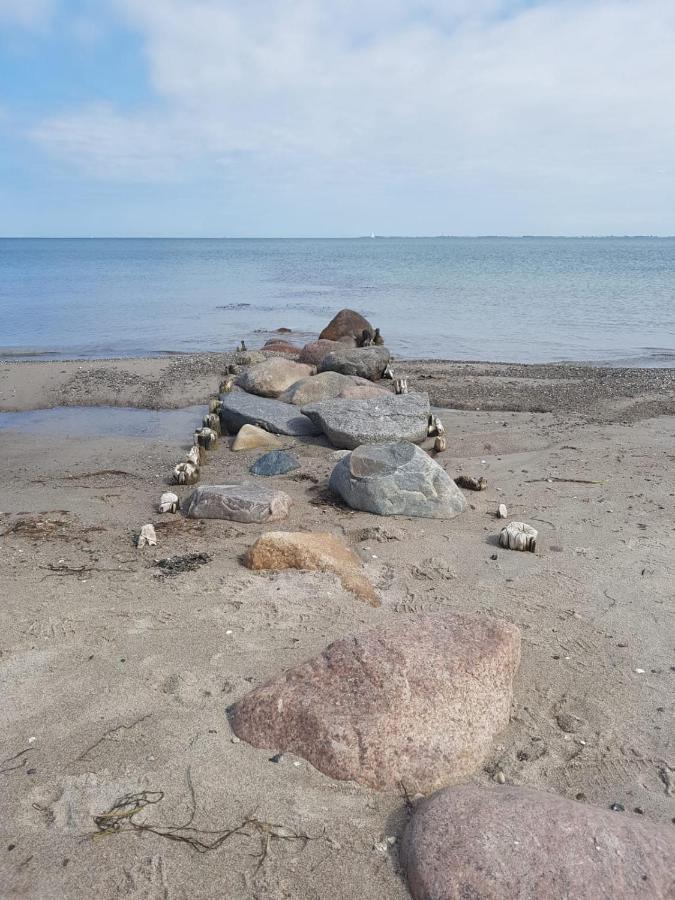 Ferienwohnung "Luv" Grube Ostsee Zewnętrze zdjęcie