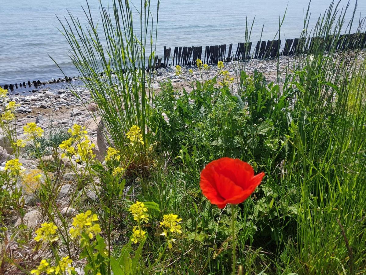 Ferienwohnung "Luv" Grube Ostsee Zewnętrze zdjęcie
