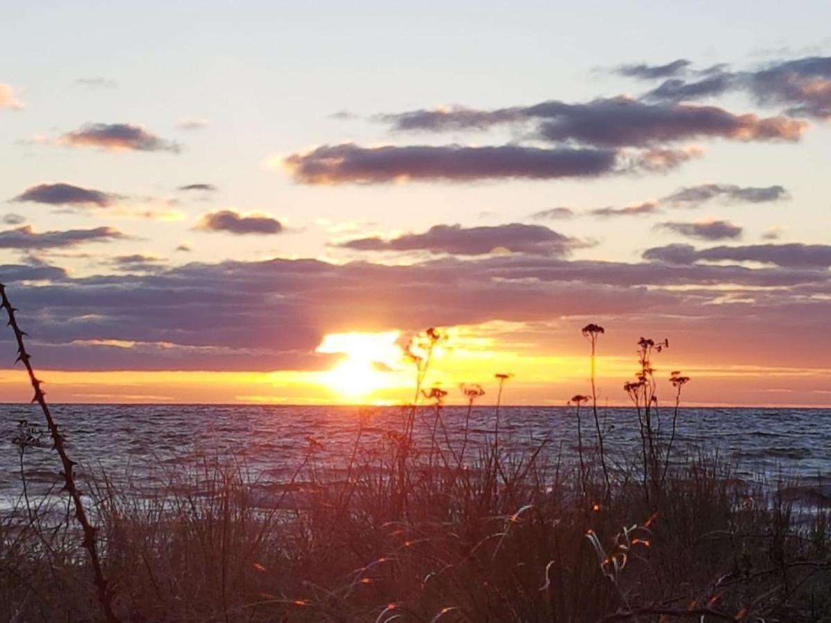 Ferienwohnung "Luv" Grube Ostsee Zewnętrze zdjęcie