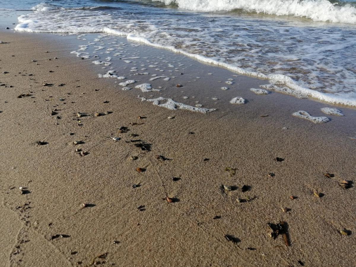 Ferienwohnung "Luv" Grube Ostsee Zewnętrze zdjęcie