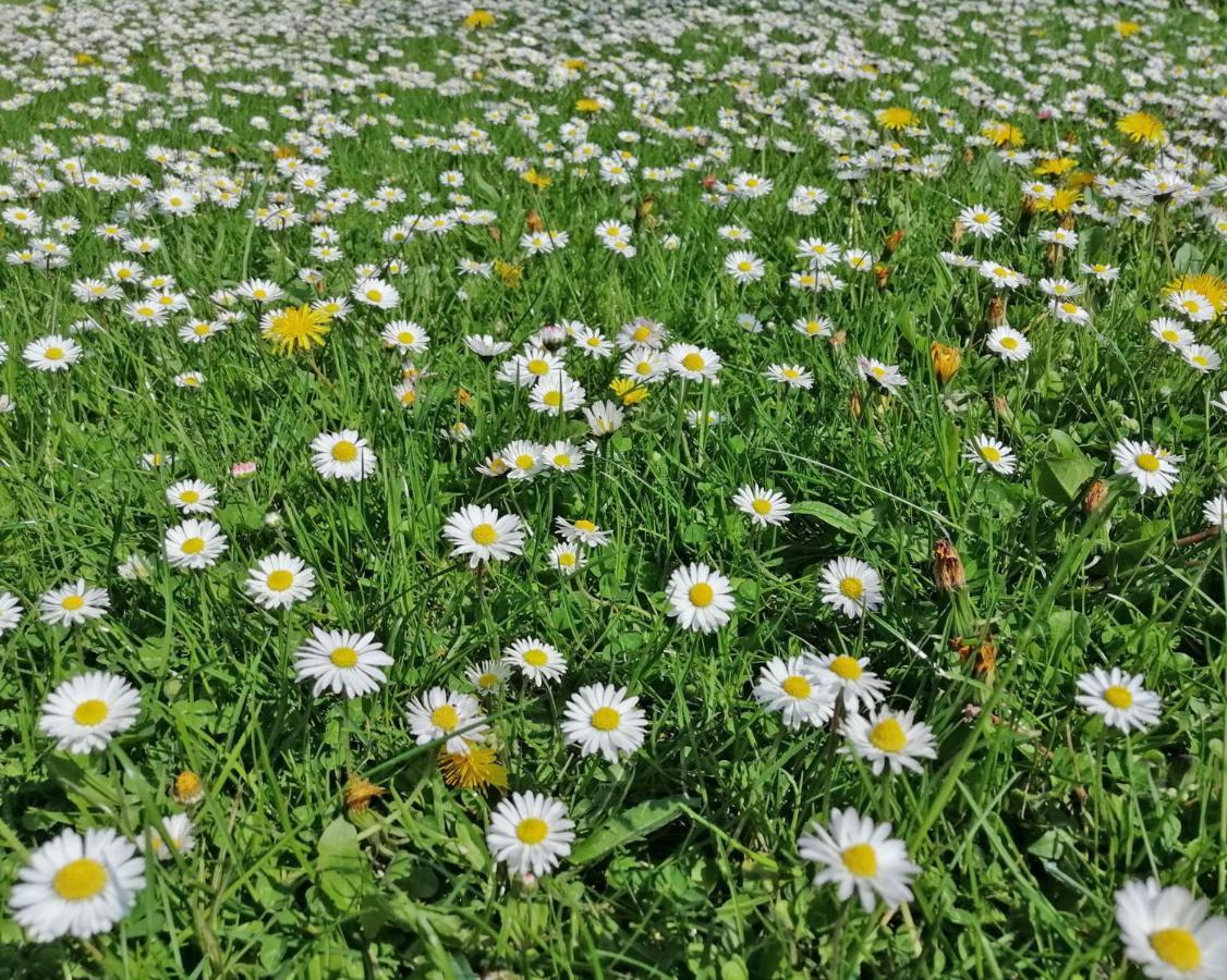 Ferienwohnung "Luv" Grube Ostsee Zewnętrze zdjęcie